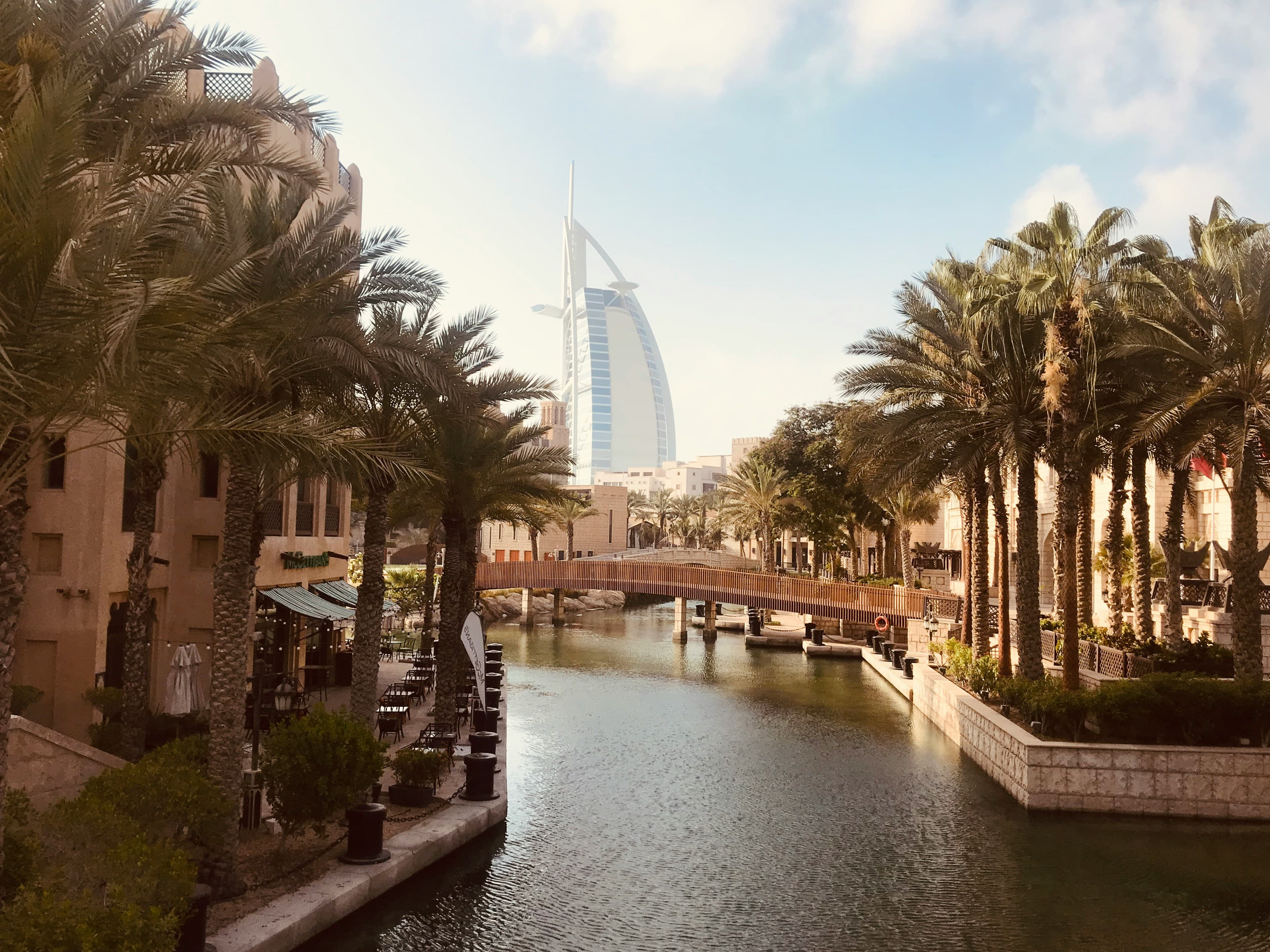 Dubai Property View
