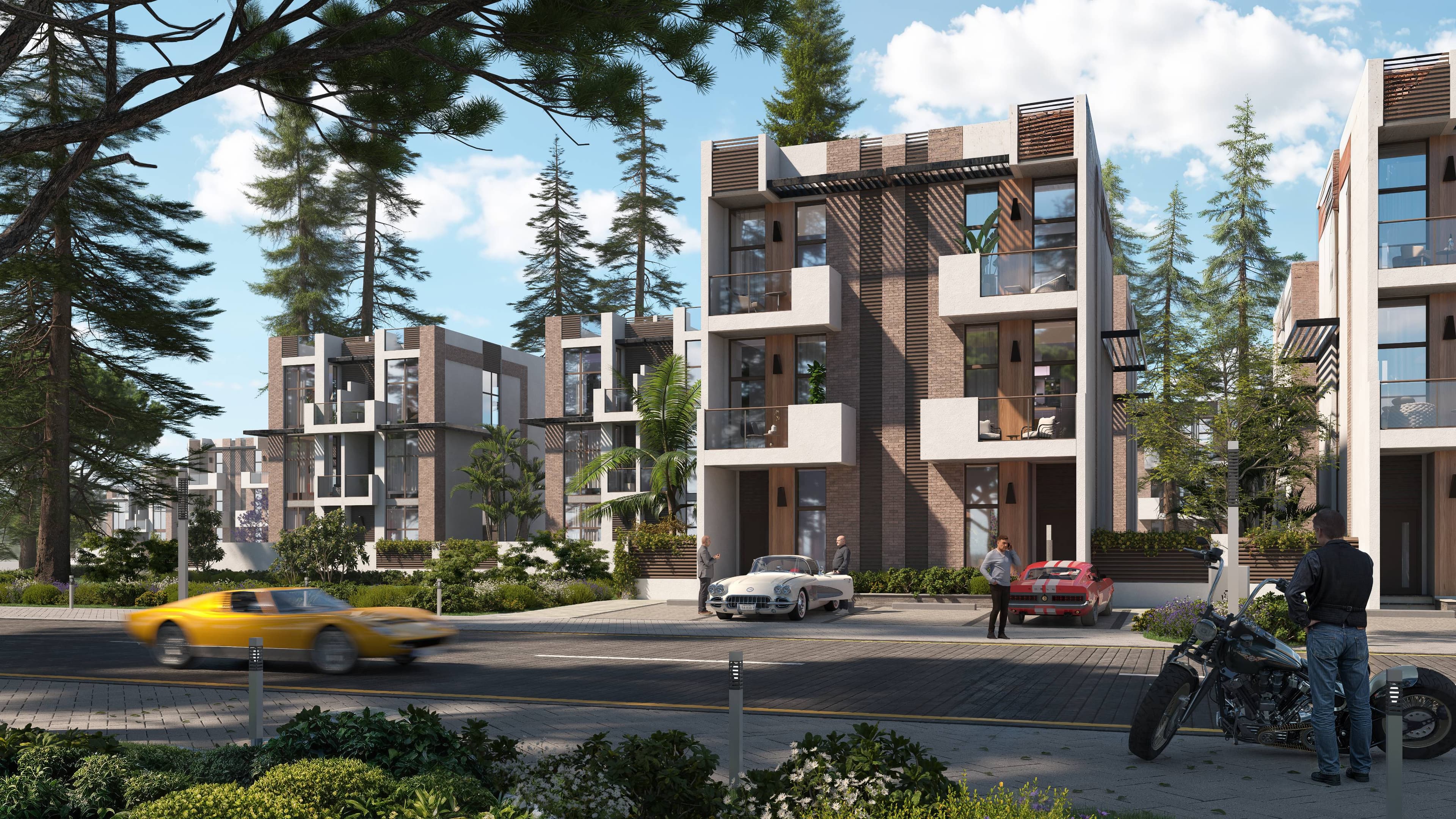 REPORTAGE HILLS - Image 4