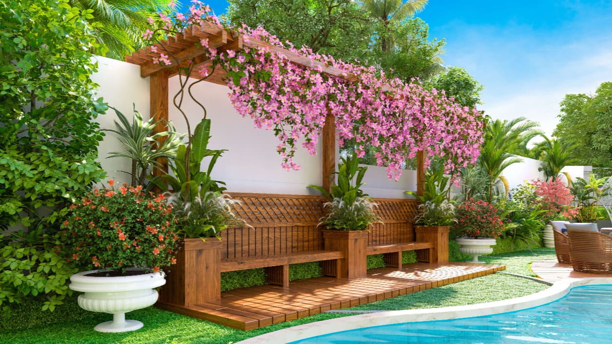 Vincitore Aqua Flora - Image 4